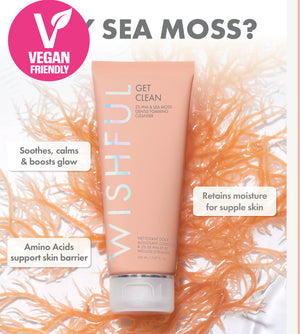 WISHFUl GET CLEAN FOAMING CLEANSER