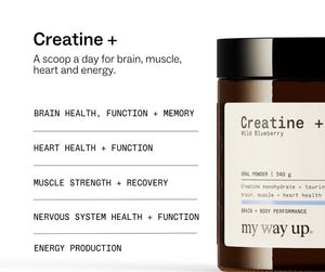 Creatine +