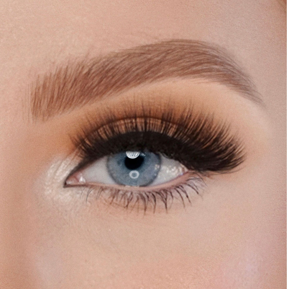 UNIVERSAL LASH – POWER